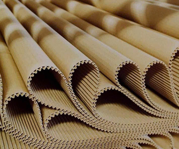 Giấy cuộn carton 2 lớp	